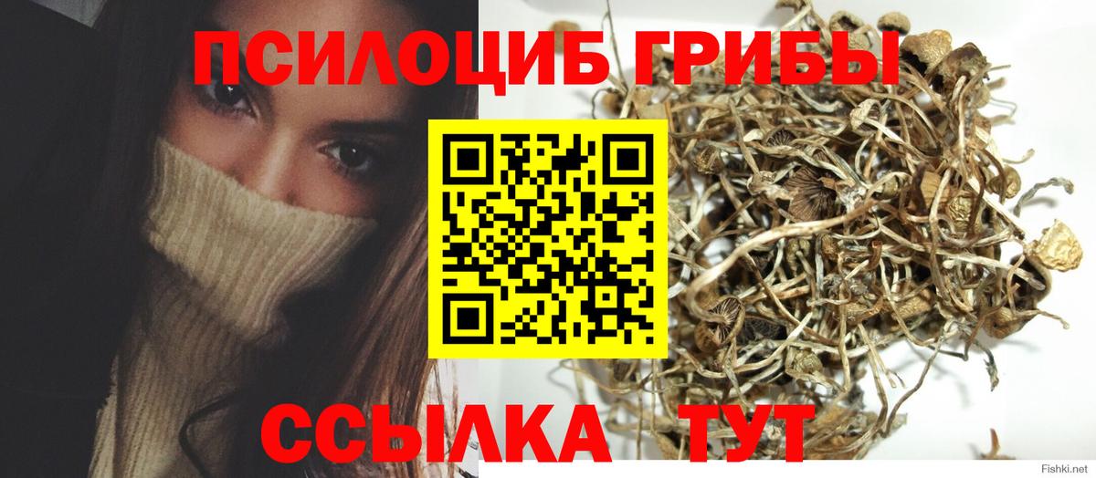 Кинель  Псилоцибиновые грибы ЛСД  Псилоцибиновые грибы Magic Shrooms  Вход с VPN 
